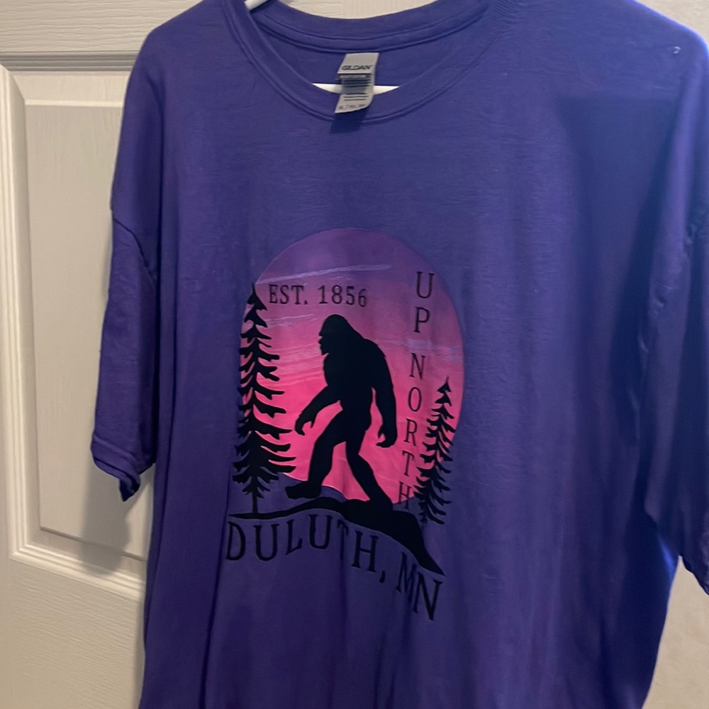 Men’s Duluth, Mn Graphic Tee